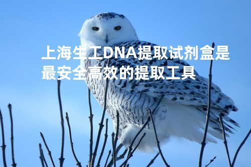上海生工DNA提取试剂盒 是最安全高效的提取工具